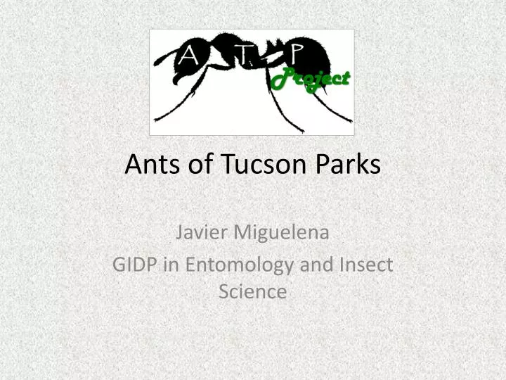 ants of tucson parks