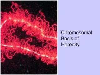 Chromosomal Basis of Heredity