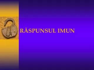 r spunsul imun