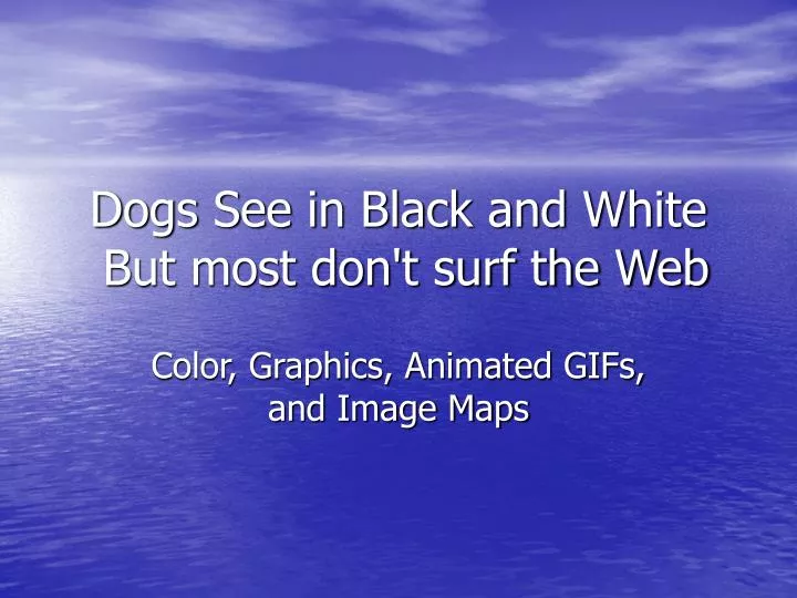 dogs see in black and white but most don t surf the web