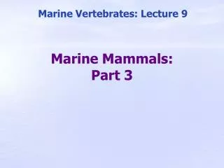 Marine Mammals: Part 3