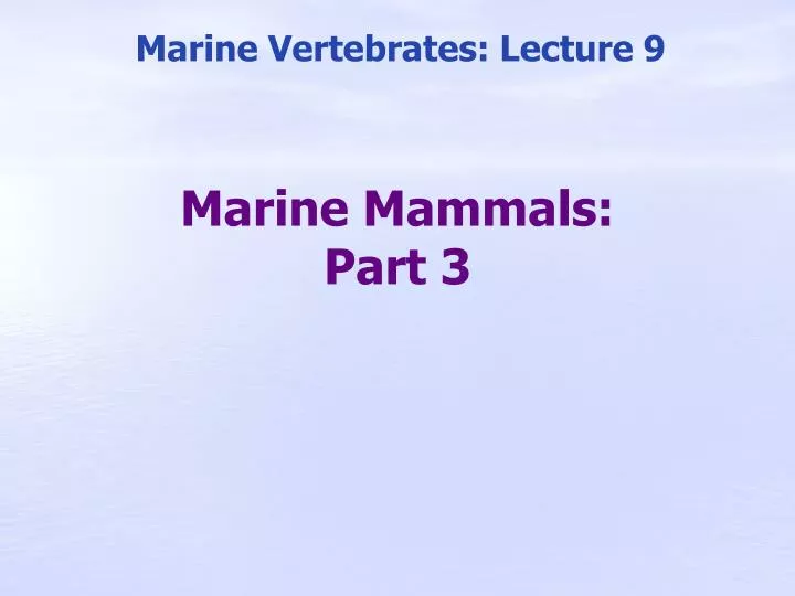 marine mammals part 3