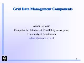 Grid Data Management Components