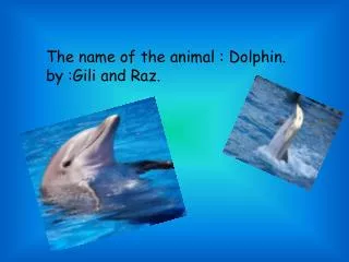 The name of the animal : Dolphin. by : G ili and R az .