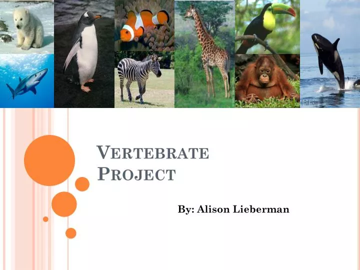 vertebrate project