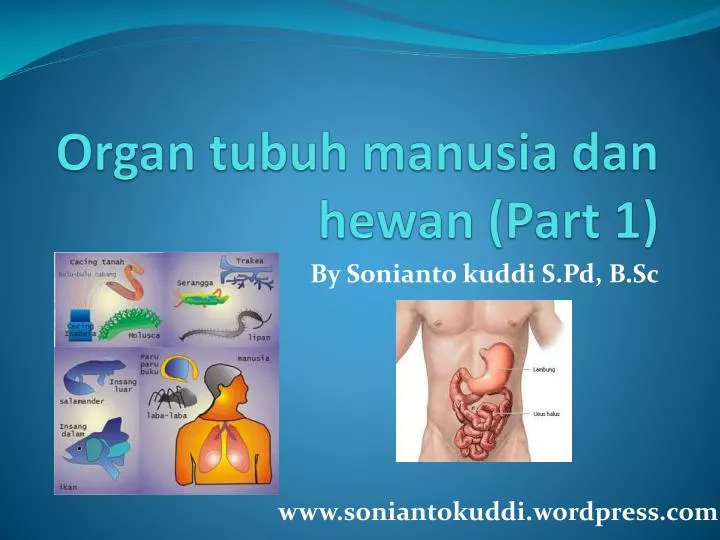 organ tubuh manusia dan hewan part 1