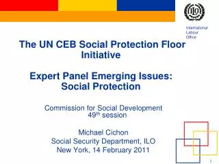 The UN CEB Social Protection Floor Initiative Expert Panel Emerging Issues: Social Protection
