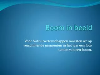 boom in beeld