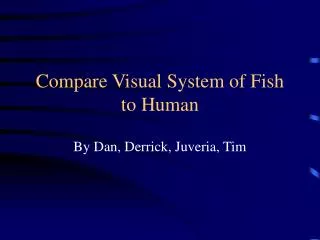 Compare Visual System of Fish to Human