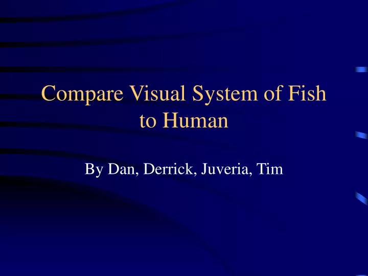 compare visual system of fish to human