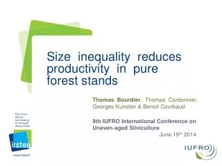 Size inequality reduces productivity in pure forest stands