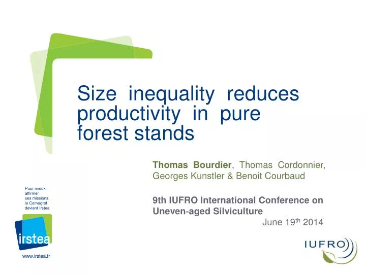 size inequality reduces productivity in pure forest stands