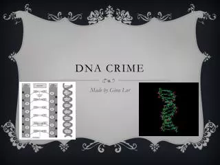 DNA Crime