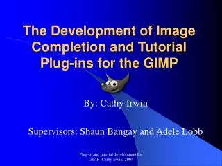 The Development of Image Completion and Tutorial Plug-ins for the GIMP