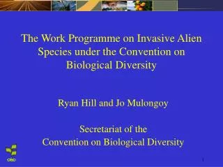The Work Programme on Invasive Alien Species under the Convention on Biological Diversity