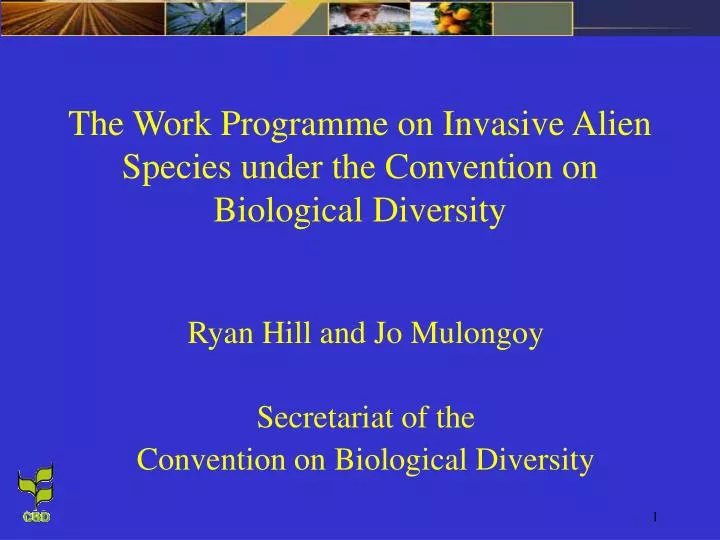 the work programme on invasive alien species under the convention on biological diversity