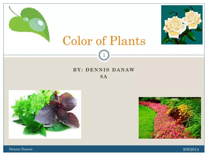 color of plants
