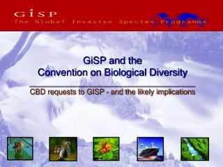 GiSP and the Convention on Biological Diversity ________________________________________