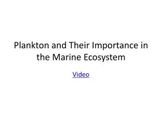 Plankton and Their Importance in the Marine Ecosystem
