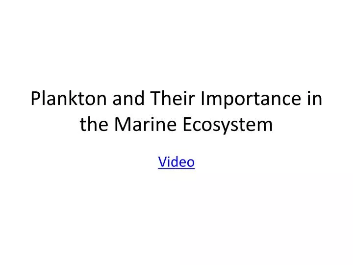 plankton and their importance in the marine ecosystem
