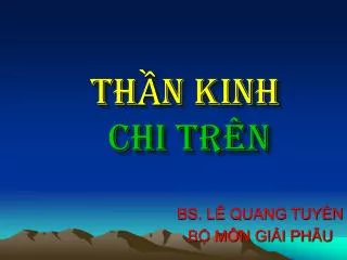 th n kinh chi tr n