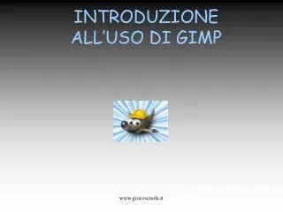 introduzione all uso di gimp