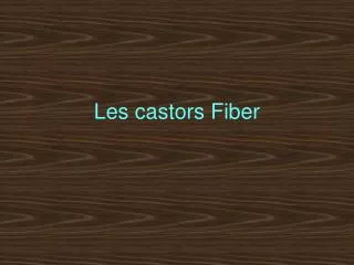 les castors fiber