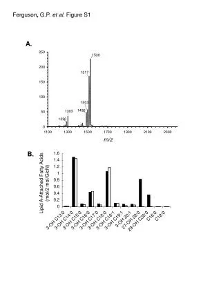 Ferguson , G.P. et al. Figure S1