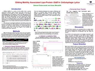 Gliding Motility Associated Lipo-Protein GldD in Cellulophaga Lytica