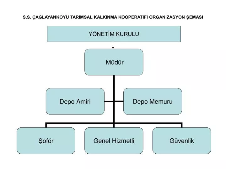 s s a layank y tarimsal kalkinma kooperat f organ zasyon emasi