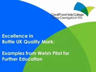 Excellence in Buttle UK Quality Mark: Examples from Welsh Pilot for Further Education