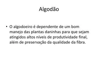 algod o
