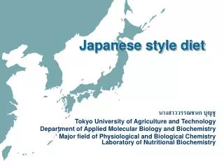 japanese style diet