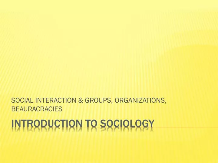 social interaction groups organizations beauracracies
