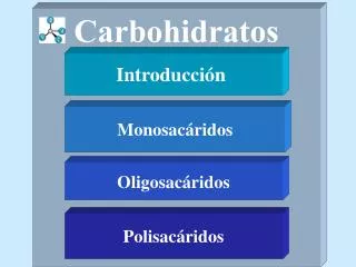 carbohidratos