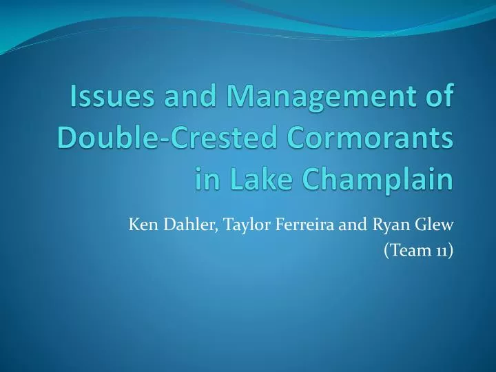 issues and management of double crested cormorants in lake champlain