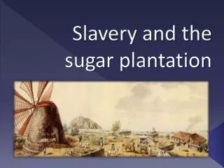 Slavery and the sugar plantation