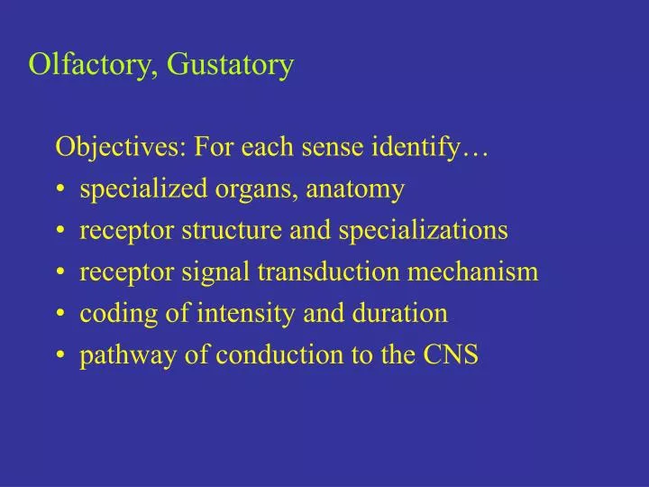olfactory gustatory