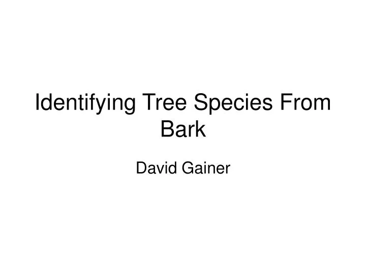 identifying tree species from bark