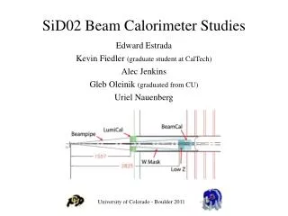 SiD02 Beam Calorimeter Studies