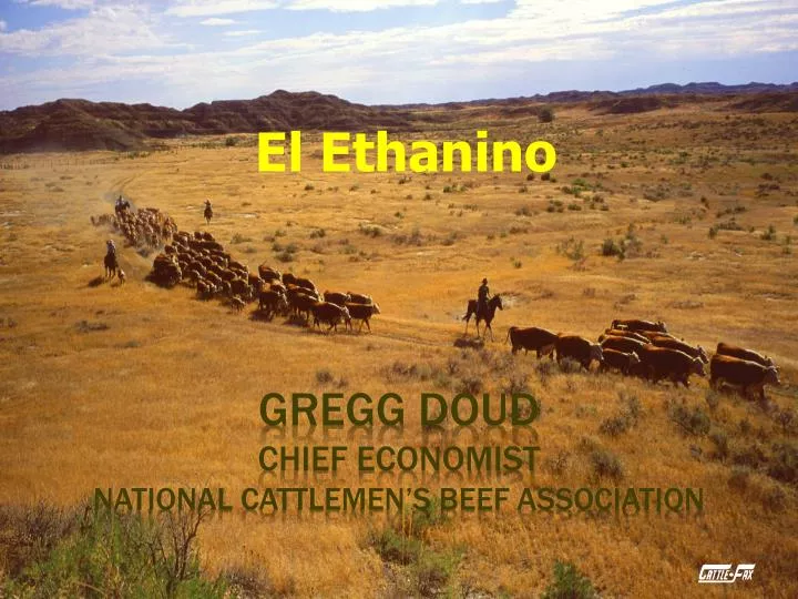 gregg doud chief economist national cattlemen s beef association
