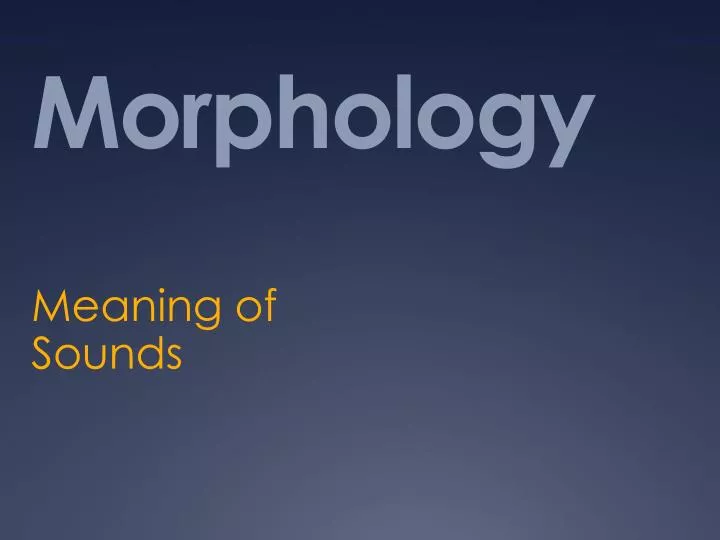 morphology