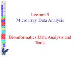 Lecture 5 Microarray Data Analysis Bioinformatics Data Analysis and Tools - slide 1