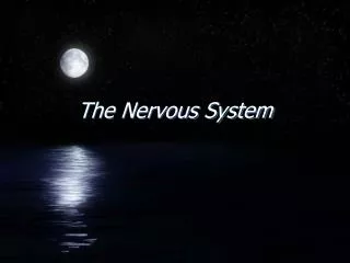 the nervous system