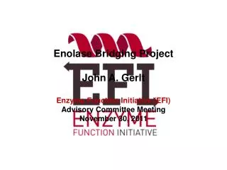 Enolase Bridging Project John A. Gerlt Enzyme Function Initiative (EFI) Advisory Committee Meeting