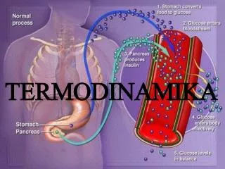 termodinamika
