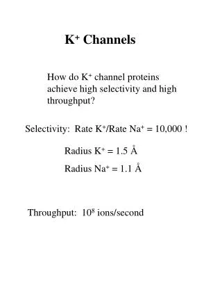 K + Channels