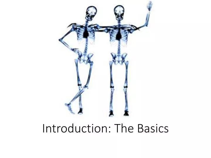 introduction the basics