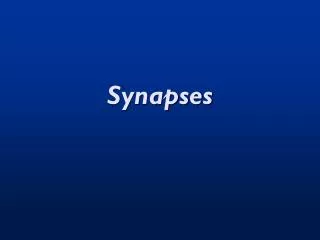 Synapses