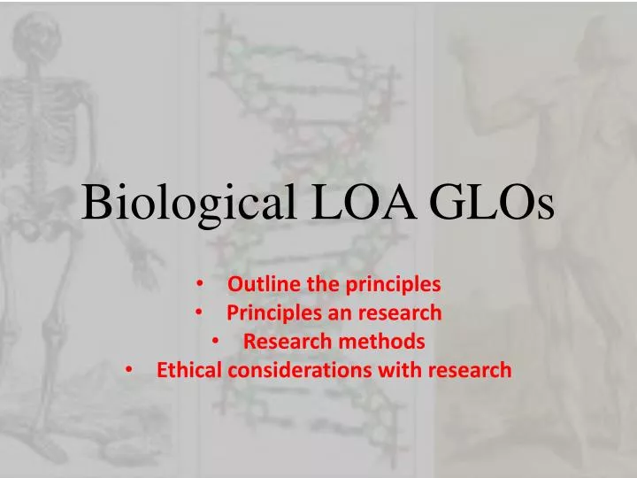 biological loa glos